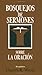 Bosquejos de sermones: Oración (Bosque/sermon/Wood) (Spanish Edition) (Bosquejos de sermones Wood) by