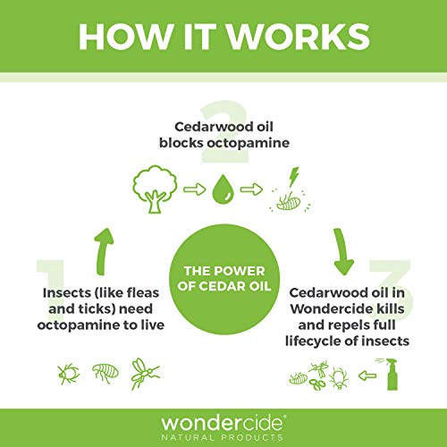 Wondercide Flea and Tick and Mosquito Control Spray for Cats Dogs and Home - Cedar - 4 oz