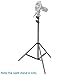 Neewer 3-pack Photography Light Stand - Metal Adjustable 36-79 inches/92-200 centimeters Heavy Duty Support Stand for Photo Studio Softbox, Umbrella, Strobe Light, Reflector and Other Equipment