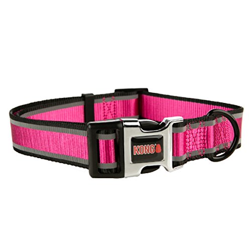 kong reflective collar