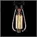 Kiven Vintage Edison Bulb Tungsten Wire - 110 Volts - Dimmable - 230 Lumens -2200K Warm Temperature Antique Light Bulb (60w)