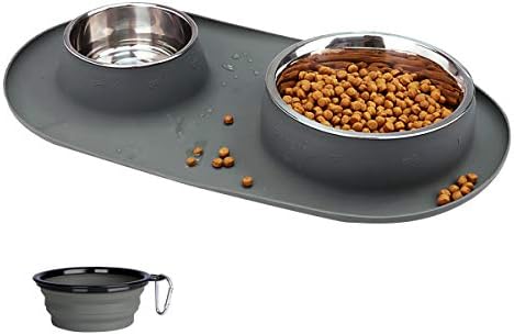 dog bowl food