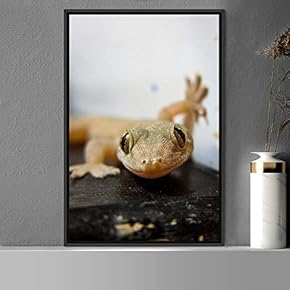 signwin Framed Canvas Wall Art Reptile Contemporary Dramatic...
