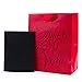 Hallmark Vida Medium Spanish Valentine's Day Gift Bag with Tissue Paper (Amor De Mi Vida)