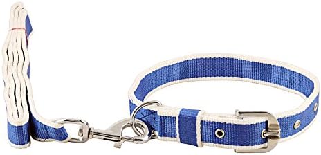 Pet Needs Color Combo Leash and Collar Set for Dog -1 Inch (Blue)