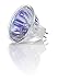 Philips 419317 20-Watt MR16 Landscape and Indoor Flood Light Halogen Light Bulb, Bright White, 1 Count (Pack of 1)