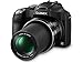 Panasonic LUMIX DMC-FZ70 16.1 MP Digital Camera with 60x Optical Image Stabilized Zoom and 3-Inch LCD (Black) (Renewed)