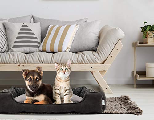 Love's cabin Medium Dog Bed, XXL Grey Rectangle Pet Bed for Medium Dogs & Cats Pet Bedding, Padded Cushion, Anti-Slip & Water-Resistant Bottom, Washable Super Soft & Durable Pet Supplies