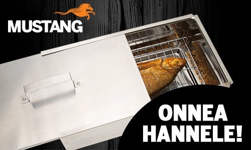 Grillpaul Mustang Räucherbox Premium | Smokerbox | Räucherschrank klein | Edelstahl poliert | 45 x 23 x 16cm – Bild 5