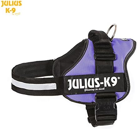 purple julius k9 harness