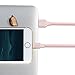 iPhone Charger Cable 3Pack (3/6/10ft) Elktry Durable Denim Braided Sync Wire Fast Lightning Charging Data Transfer Cord for iPhone X 8 8 Plus 7 7Plus 6 6s 6 Plus 6s Plus SE 5 iPad iPod (Adorable Pink)