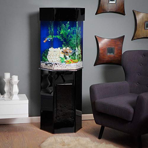 Skrootz Aquarium Hexagon Stand Without Canopy Large Size Acrylic Black Color and Modern Style