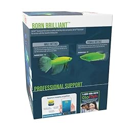 GloFish Betta Aquarium Kit 1.5 Gallons, Easy Setup