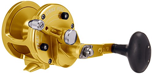 Avet 6.0:1 Lever Drag Conventional Reel, Gold, 500 yd/25 lb