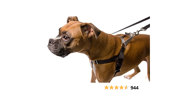 2 hounds design martingale collars