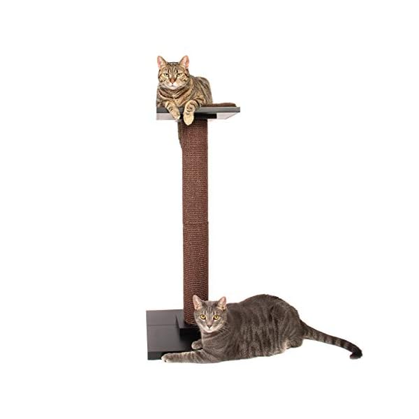 tall cat post