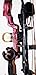 PSE Stinger X RTS Red Skull Works 70# Right Hand Package Set