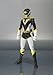 Bandai Tamashii Nations Black Condor 