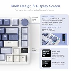 RK ROYAL KLUDGE M75 Mechanical Keyboard