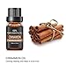 MADETEC 10ML Diffuser Oils Essential Oils Cinnamon 100% Pure and Natural Oils for Aromatherapy Diffuser Humidifiers