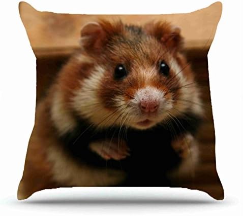 Square 18 X 18 Inches Cotton Pillowcases Decorative Pillow Cover Case with Hidden Zipper Decor Cushion Covers - Animals hamster muzzle s surprise for bedroom