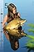 Carponizer carp fishing wall calendar 2019