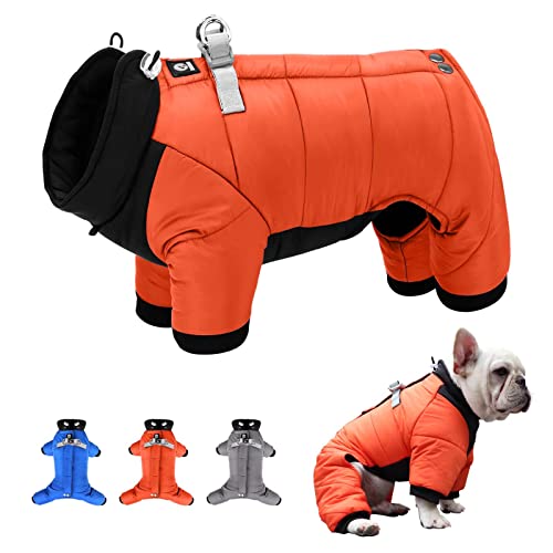 The Best Dog Snowsuits Dogtime