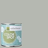 Inspired Eggshell Interior Paint, Metal .03, 8oz Sample