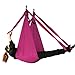 EverKing Aerial Yoga Straps Trapeze - Antigravity Yoga Swing/Sling/Inversion Tool,Air Flying Yoga Hammock Belt Fitness Swing Hammock for Yoga Inversion Exercises (Purple)