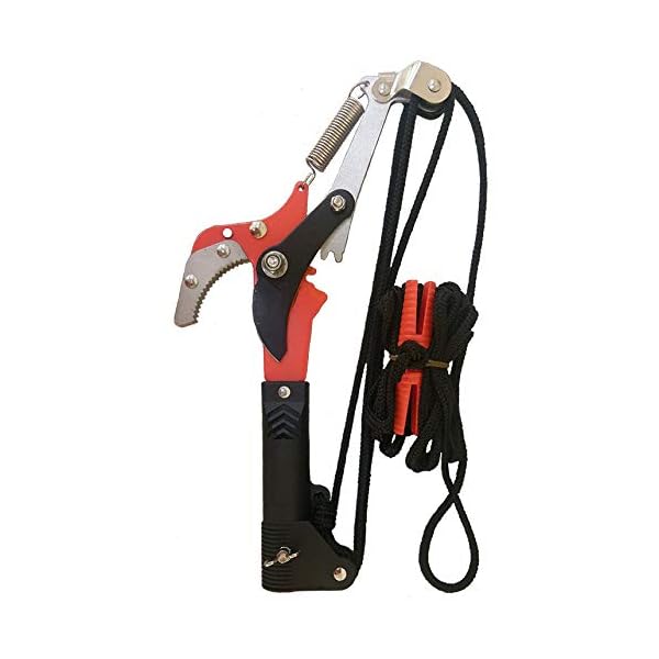 Barnel B553 Compound GearDrive Pole Pruner Head