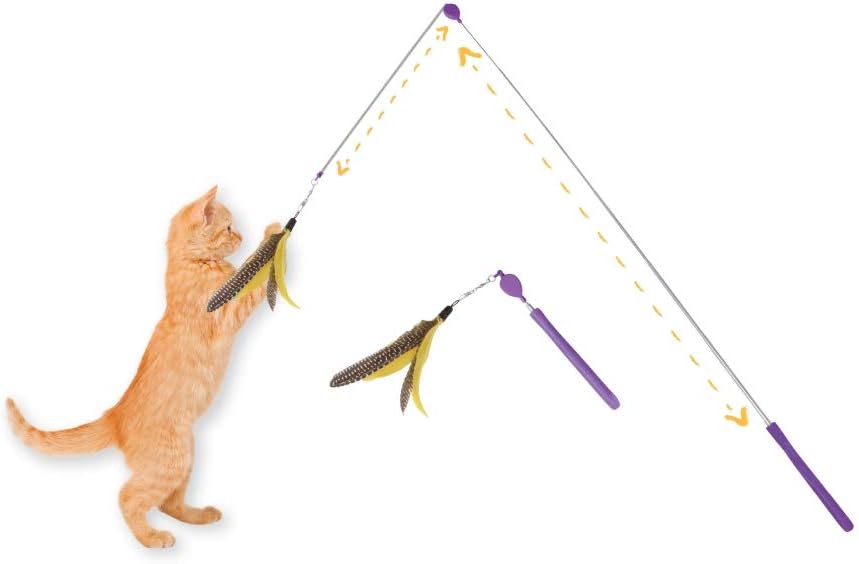 Jackson Galaxy Air Prey Cat Wand Cat Toy : Pet Supplies