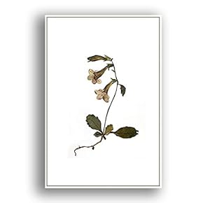 Framed Canvas Wall Art for Living Room, Bedroom Leaves Canvas Prints for Modern Home Decoration Ready to Hang - 16"x24" inches