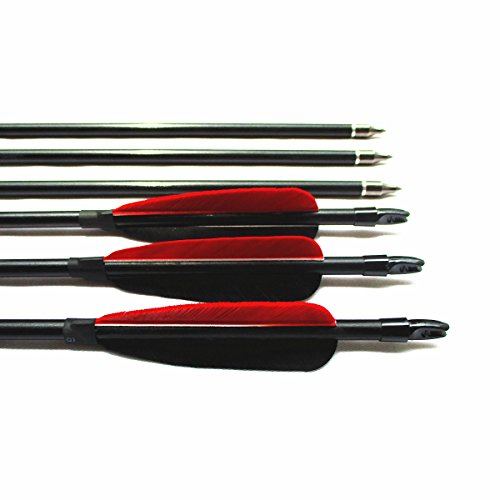 image for Letszhu Fiberglass Archery Shaft Arrows Real Feathers with Replaceable