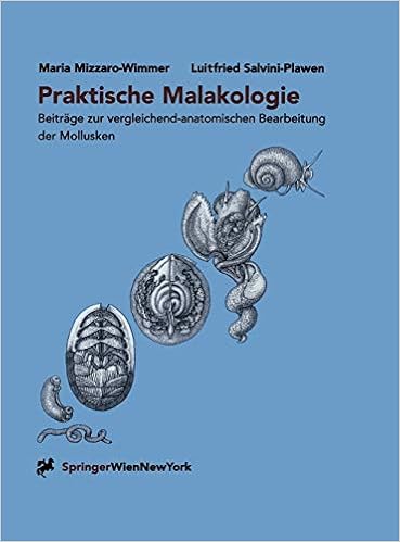 Amazon Com Praktische Malakologie Beitrage Zur Vergleichend Anatomischen Bearbeitung Der Mollusken Caudofoveata Bis Gastropoda Streptoneura German Edition 9783211836521 Mizzaro Wimmer Maria Salvini Plawen Luitfried Mizzaro Wimmer M