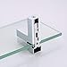 Bathroom 19.6 Inches Tempered Glass Shelf with 8mm Thick Rectangular Glass Extended, Wall Mount, Polished Chrome BGS3201
