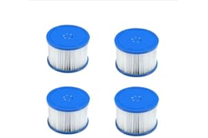 BTMWAY 73" Inflatable Hot Tub,4-6 Person (Filter-4)