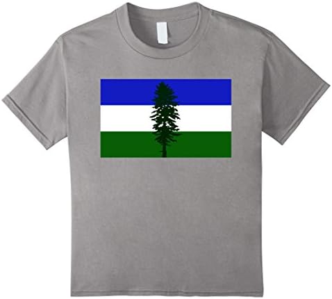 Kids Cascadia Doug Flag T-Shirt - Anvil (Relaxed Fit) 12 Slate