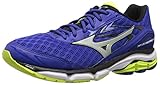 Mizuno Men's Wave Inspire 12 Running Shoe, Surf The Web/Silver, 10 D US