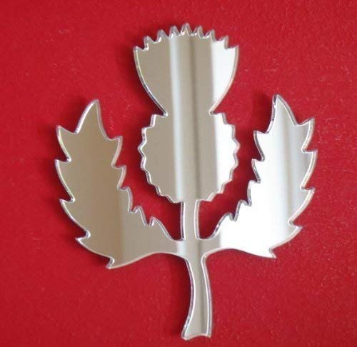 Thistle Mirror 35cm x 30cm, Scottish Thistle