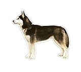 SIBERIAN HUSKY - Dog Decal - sticker dogs car got gift