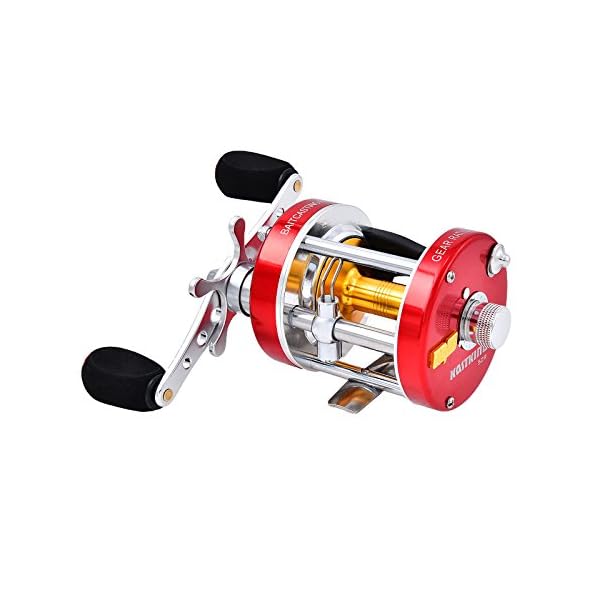 KastKing-Rover-Round-Baitcasting-Reel-No-1-Rated-Conventional-Reel-Carbon-Fiber-Star-Drag-Reinforced-Metal-Body-2016-Rover-RXA-Conventional-Reel-Inshore-and-Offshore-Saltwater-and-Freshwater-Reel-Awar