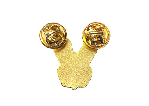 VETERAN VICTORY EAGLE USA Flag Gold Eagle NEW DESIGN Great Quality PPM632