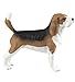 Safari Ltd Best in Show Dogs - Beagle - Realistic Hand Painted Toy Figurine Model - Quality Construction from Safe and BPA Free Materials - For Ages 3 and Up by Safari