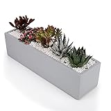 Ten-stone 15 Inch Rectangular Cement Cactus Planter