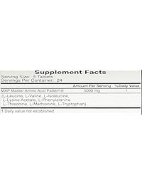 Mapa patrón de 2 x master Aminoácidos 1000 mg 120 tabletas muscular edificio por Pam