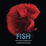 Fish Mini Wall Calendar 2019: 16 Month Calendar by Paul Jenson