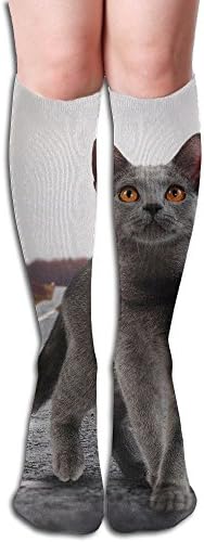 Unisex Long Stockings Cat On Road Sports Long Hose Knee High Sock For Men Women