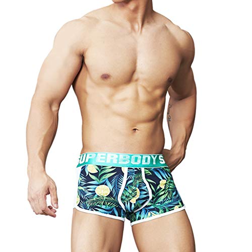charmsamx Mens Seamless Stretch Boxer Briefs Soft Polyester Boxer Briefs Comfortable Breathable Underwear No Ride-up Underpants, Green, L