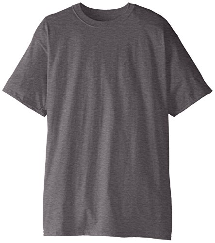 Hanes Men's Big and Tall Short-Sleeve Beefy T-Shirt (Pack of Two), Charcoal Heather, LT