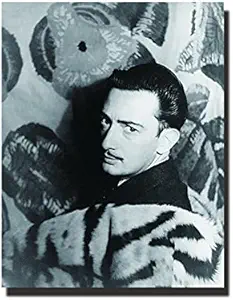 YuFeng Art Inn Modern Wall Poster Art Print Oil Painting on Canvas Home Decor Wall Decoration Canvas Art Salvador Dali (No Framed,8x12inch)